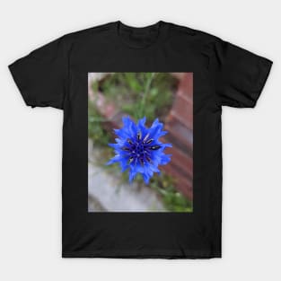 Purple Flower Opening T-Shirt